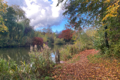 AUTUMN-COLOURS-2-by-Irene-Smith