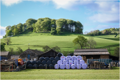 FARMYARD-by-Eric-Ruthenberg