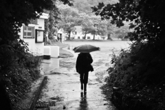 RAINY-DAY-by-Adrian-Ball