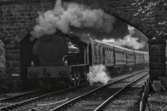 ARRIVAL-by-Adrian-McShane
