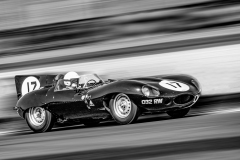 JAGUAR-D-TYPE-by-Alastair-Newton
