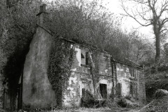 OLD-COTTAGE-STARKHOLMES-by-Irene-Smith