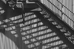 STAIRCASE-by-Sally-Newton