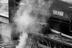 TRAINS-1-by-David-Pooley