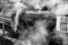 TRAINS-2-by-David-Pooley