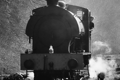 TRAINS-3-by-David-Pooley