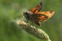 2026-09-16 Nature Macro